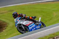 PJ-Motorsport-Photography-2020;anglesey;brands-hatch;cadwell-park;croft;donington-park;enduro-digital-images;event-digital-images;eventdigitalimages;mallory;no-limits;oulton-park;peter-wileman-photography;racing-digital-images;silverstone;snetterton;trackday-digital-images;trackday-photos;vmcc-banbury-run;welsh-2-day-enduro